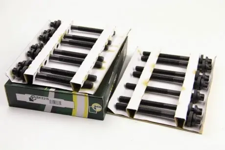 Болты головки блока BMW 3-7 (E34/E39/E46E60/E61) X3/X5/Omega B 2.5TDI 99-(к-кт) BGA BK5316