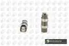 Штовхач клапану Scorpio/Vojager 2.5TD 93-01 BGA HL6385 (фото 1)