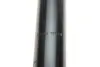 Амортизатор (передній) BMW X5 (E70)/ X6 (E71/E72) 07-14 M57/N52/N55/N57/N63 (B4) BILSTEIN 19-261515 (фото 4)