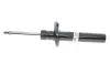 Амортизатор (передний) VW CC 09-17 Passat(3C2) 06-10 Passat(357/365) 12-19 d=55mm (B4) BILSTEIN 22-151056 (фото 1)
