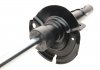 Амортизатор (передний) Ford Focus III 1.0-2.0 12-(L) (B4) BILSTEIN 22-255969 (фото 7)