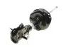 Амортизатор (передний) (L) Honda CR-V V 16-(B4) BILSTEIN 22-290939 (фото 1)