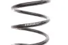 Пружина (задняя) Smart Fortwo/City-Coupe/Cabrio 98-07 M160/OM660 (B3) BILSTEIN 36-235223 (фото 2)