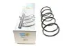 Пружина (передня) Ford Focus I 98-04 (B3) BILSTEIN 36-255788 (фото 1)
