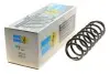 Пружина (задняя) VW Polo 1.2-1.4/1.4-1.9TDI 01-09/Skoda Fabia 1.0-1.2TSI/1.2-1.4TDI 07- (B3) BILSTEIN 36-300075 (фото 1)