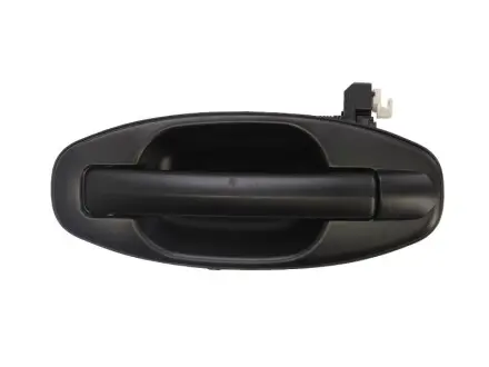 Ручка дверей задн Лів (зовнішн, під фарбування) HYUNDAI SANTA FÉ 02.01-03.06 BLIC 601020021403P