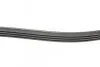 Ремень генератора Renault Clio/Kangoo 1.4i/1.6 98-03/ Toyota Land Cruiser 4.2 98-07 BLUE PRINT AD04R1240 (фото 2)