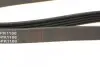Ремінь генератора Citroen Jumper 2.8HDI 00-/Honda Accord 1.9-2.0 93-98/ Toyota Carina 2.0 96-97 BLUE PRINT AD05R1100 (фото 3)