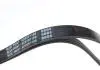 Ремінь генератора Fiat Palio 1.2 97-/Land Rover Freelander 1.8i 98-06/ Toyota Corolla 2.0 D-4D 97-04 BLUE PRINT AD05R1188 (фото 2)
