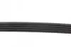 Ремень генератора Honda Accord 2.0 EX -97/ Honda Legend 3.5 96-97/ Toyota Echo 1.4 D-4D 01-05 BLUE PRINT AD05R935 (фото 2)
