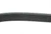 Ремінь 6PK1420 FORD Transit 94-00 RENAULT Laguna 1,8/2,0 VOLVO 850 2,5TDI DODGE Stratus BLUE PRINT AD06R1420 (фото 2)