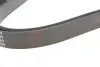 Ремінь генератора VW LT 2.8TDI/Suzuki Grand Vitara 2.0 HDI 01-05/Audi 80/A6/A8 2.6-2.8 91- 97 BLUE PRINT AD06R1636 (фото 3)