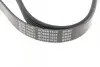Ремінь генератора VW LT 2.8TDI/Suzuki Grand Vitara 2.0 HDI 01-05/Audi 80/A6/A8 2.6-2.8 91- 97 BLUE PRINT AD06R1636 (фото 4)
