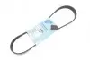 Ремінь генератора Citroen Berlingo/Peugeot Partner 1.6HDI/Ford Fiesta/Focus 1.4-1.6 TDCi 01- BLUE PRINT AD06R805 (фото 1)