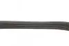 6PK870 PEUGEOT Partner, Expert, 206/306 98- BLUE PRINT AD06R870 (фото 2)
