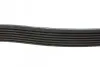 Ремень генератора Toyota Camry 3.5 V6 11-17/ Lexus GS/ IS/ ES 2.5-3.5 05- BLUE PRINT AD07R1550 (фото 2)