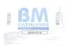 Катализатор выхлопной системы Renault Kangoo/Megane/Dacia Logan 1.5dCi 05- BM CATALYSTS BM80357H (фото 2)