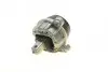 Подушка двигуна 5 (F10/F11) 2.0i xDrive 11-16 (N20) BMW 22117935147 (фото 2)