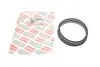Прокладка топливного насоса VW Caddy II/III 1.4/1.6 95-15 BOGAP A1623101 (фото 1)