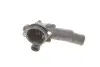 Термостат Skoda Fabia/VW Polo 1.2 TDI 09-(87°C) BOGAP A4245115 (фото 4)