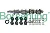 Розподільний вал VW Caddy III 1.9TDI (BJB/BSU) 55/77kw 04-10/VW T5 1.9TDI (BRS/BRR) 62/75kw(к-кт)(OE VAG) Borsehung B11307 (фото 1)