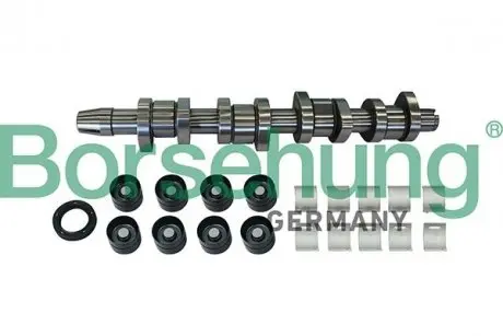 Розподільний вал VW Caddy III 1.9TDI (BJB/BSU) 55/77kw 04-10/VW T5 1.9TDI (BRS/BRR) 62/75kw(к-кт)(OE VAG) Borsehung B11307