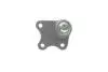 Опора кульова (передня/знизу/R) Skoda Fabia/VW Polo 1.2/1.9TDI 99-10 Borsehung B11337 (фото 3)