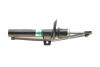 Амортизатор (передний) VW Golf 04-13/Skoda Octavia 04-13 Borsehung B12137 (фото 7)