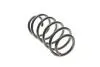 Пружина (передняя) VW Caddy 04-/Passat 05-14 (OE VAG) Borsehung B12623 (фото 3)