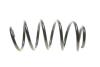 Пружина (передняя) VW Caddy 04-/Passat 05-14 (OE VAG) Borsehung B12623 (фото 4)