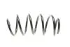Пружина (передняя) VW Caddy 04-/Passat 05-14 (OE VAG) Borsehung B12623 (фото 4)