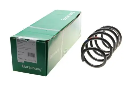 Пружина (передняя) VW Caddy 04-/Passat 05-14 (OE VAG) Borsehung B12623