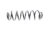 Пружина (задня) Skoda Superb II 1.4-2.0TSI/1.6-2.0TDI 08-15/VW Golf V 07-09 (OE VAG) Borsehung B12624 (фото 4)