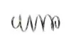 Пружина (передняя) VW Caddy 04-/Golf/Touran 04-13 (OE VAG) Borsehung B12626 (фото 4)