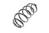 Пружина (передняя) VW Caddy 04-/Golf/Touran 04-13 (OE VAG) Borsehung B12626 (фото 6)