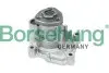 Насос воды VW Polo/Passat/Skoda Roomster 1.6FSI (OE VAG) Borsehung B12696 (фото 1)