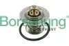 Термостат VW T4/T5/Audi A3/A6 1.9D/1.9/2.0TDI/2.0 90- (від 87 до 102 °C) (OE VAG) Borsehung B13141 (фото 1)