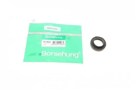 Сальник штока куліс КПП VW Caddy 1.5-1.8 82-04 Borsehung B17833