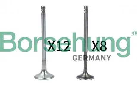 Клапан (впуск/выпуск) Audi A4/A6/Skoda Octavia/Superb/VW Golf/Passat 1.8-3.0 -10 (к-кт) (OE VAG) Borsehung B18636