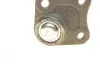 Опора шаровая (передняя/снизу/R) Audi A3/VW Golf IV 1.4-2.8 96-06 Borsehung B18700 (фото 2)