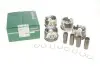 Поршень VW Caddy/Crafter 2.0TDI 10- (к-кт 4шт.) (OE VAG) Borsehung B19302 (фото 1)