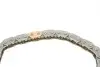 Ланцюг ГРМ Audi A3/A4/A6/TT/VW Golf V/Passat/Touran 2.0 TFSI 03- (OE VAG) Borsehung B1C014 (фото 2)