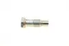 Натяжник цепи ГРМ VW T4/T5 2.8 VR6/3.2 V6 00-09 (OE VAG) Borsehung B1T014 (фото 4)