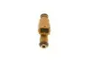 Форсунка бензиновая BOSCH 0 280 155 831 (фото 3)
