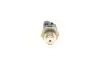 Элемент системы Common Rail BOSCH 0 281 002 982 (фото 2)