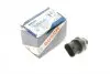 Элемент системы Common Rail BOSCH 0 281 006 187 (фото 1)