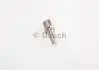 Распылитель форсунок BOSCH 0433171433 (фото 1)