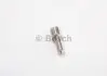 Распылитель форсунок BOSCH 0433171576 (фото 1)