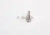 Розпилювач BOSCH 0433172232 (фото 3)
