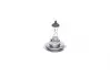 Лампа розжарювання H7 12V 55W PX26d LONGLIFE DAYTIME BOSCH 1 987 302 078 (фото 1)
